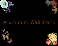 Aluminum Wall Print