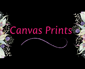 Canvas Prints